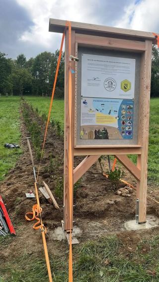 150 Jahre Imkerverein Gottleubatal - 150 Pflanzen für unsere Insekten…