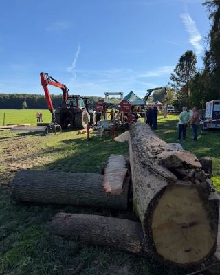 Waldfest im Walderlebniszentrum Leupoldishain